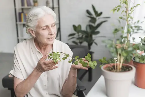 Longevity Assessmnet